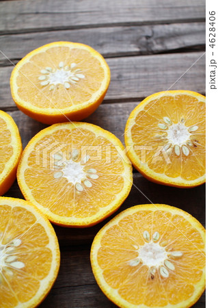 半分にカットした無農薬の駿河甘夏 4628406