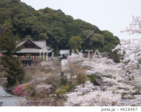 長谷寺 長谷寺 4628467