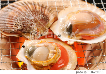 ホタテ焼き 4629068