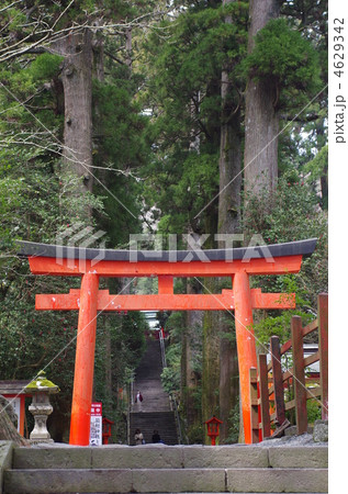 箱根神社　鳥居 4629342