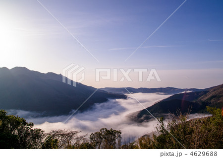 芦ノ湖に広がる雲海 4629688