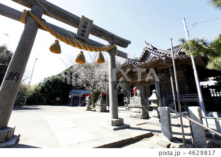 小動神社（腰越：鎌倉市） 4629817