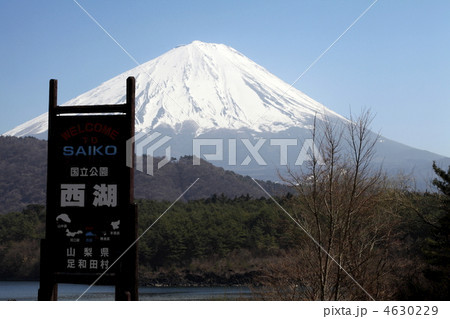 富士山 富士山 4630229
