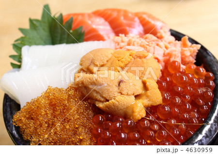 海鮮丼 アップ 海鮮丼 アップ 4630959