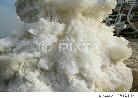 イスラエル 死海 イスラエル 死海 4631247