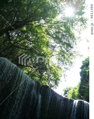 夏の滝 夏の滝 4631460