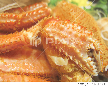 ハサミ／毛蟹／料理／食材／北海道産／日本 4631671