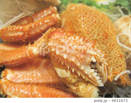 ハサミ／毛蟹／料理／食材／北海道産／日本 4631673