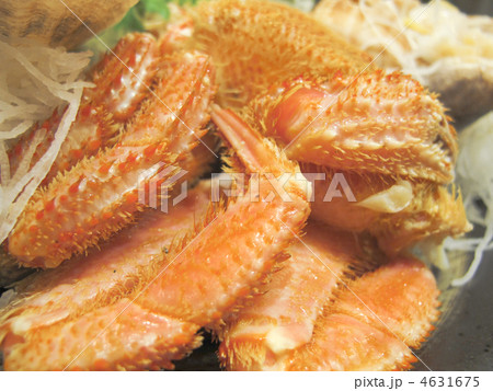 足/毛蟹/料理/食材/北海道産/日本 足/毛蟹/料理/食材/北海道産/日本 4631675