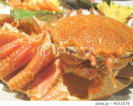 甲羅／毛蟹／料理／食材／北海道産／日本 4631676