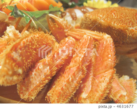 盛り付け/毛蟹/料理/食材/北海道産/日本 盛り付け/毛蟹/料理/食材/北海道産/日本 4631677