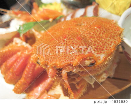 甲羅/毛蟹/料理/食材/北海道産/日本 甲羅/毛蟹/料理/食材/北海道産/日本 4631680