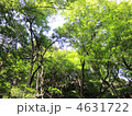 滝に続く山道途中にて 4631722