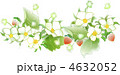 イチゴの花と実 4632052