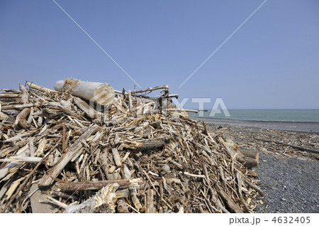 海岸の漂着物 4632405