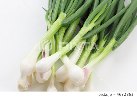 熊本県産ひともじ 4632863