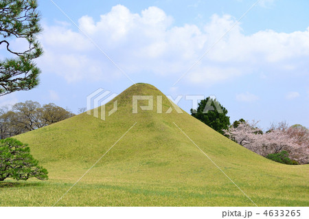 春の水前寺公園 春の水前寺公園 4633265
