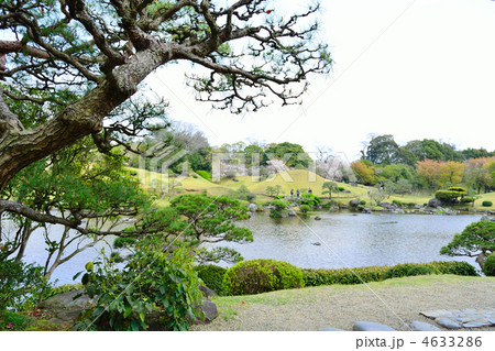 春の水前寺公園 4633286