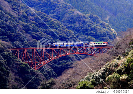 橋梁とトロッコ列車 4634534