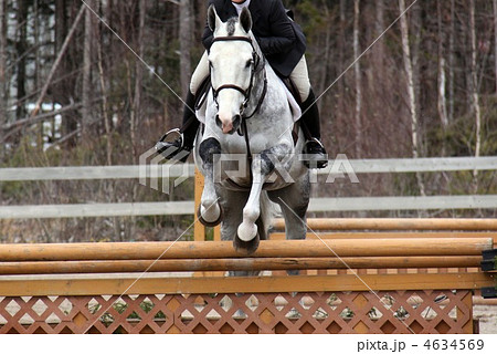 カナダの障害飛越大会 4634569