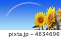 4634696
