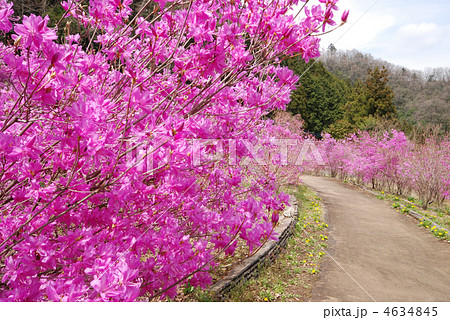 夕やけ小やけふれあいの里 八王子 夕やけ小やけふれあいの里 八王子 4634845