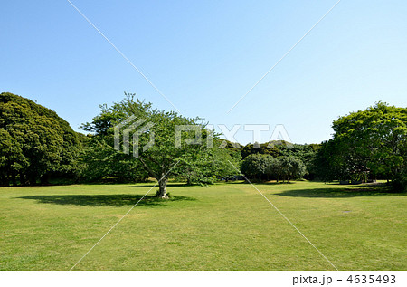 芝生の広がる公園 4635493