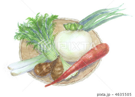 京野菜いろいろのイラスト素材 4635505 Pixta