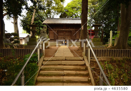 見沼田圃・神明社 4635580