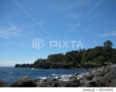伊豆海洋公園 4635694