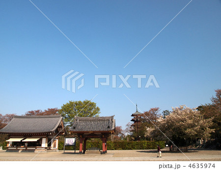 池上本門寺 4635974