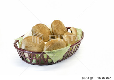 大黒しめじ 大黒しめじ 4636302