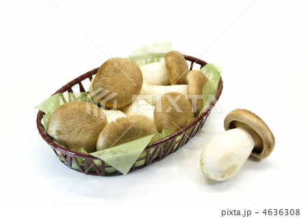 大黒しめじ 4636308