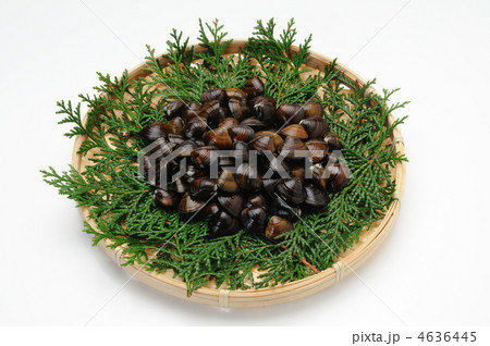 大和しじみ 大和しじみ 4636445