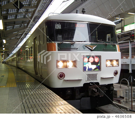 特急踊り子　185系　東京駅 4636508