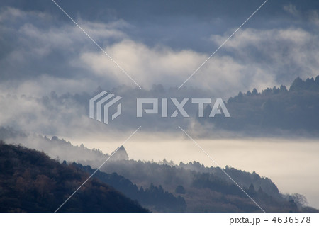 朝霧の芦ノ湖と森 4636578
