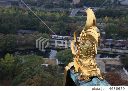 シャチホコ 4636629