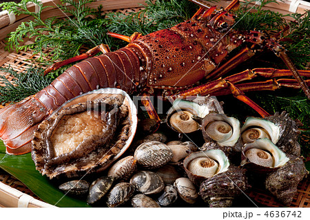 高級食材-魚介類 4636742