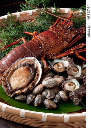 高級食材-魚介類 高級食材-魚介類 4636744