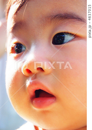 うるみ0歳 うるみ0歳 4637015