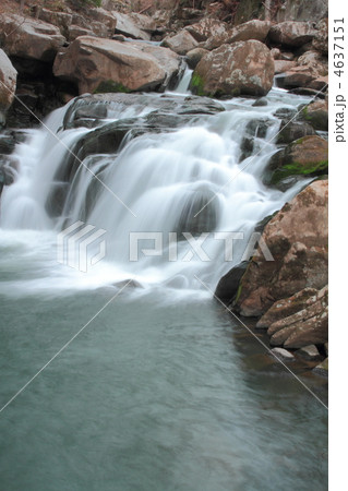 山鶏滝遊歩道 4637151