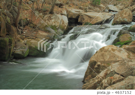 山鶏滝遊歩道 4637152