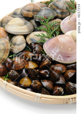 貝の盛り合わせ 貝の盛り合わせ 4637354
