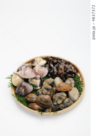 貝の盛り合わせ 貝の盛り合わせ 4637372