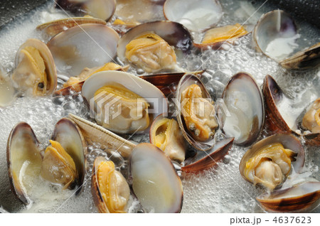 アサリの酒蒸し 4637623