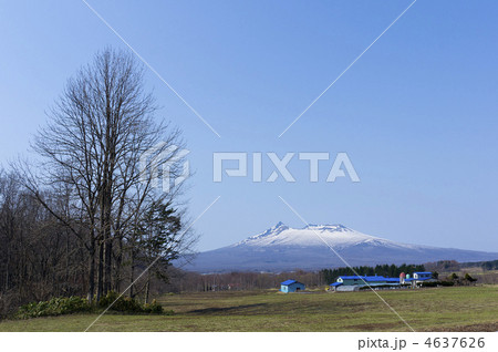 牧場と駒ケ岳 4637626