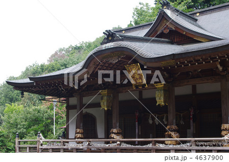 タヌキダニのお不動さん 4637900