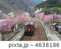 花桃と桜競演のわたらせ渓谷鐵道神戸駅２ 4638186