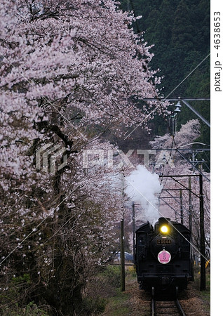 桜と蒸気機関車 4638653