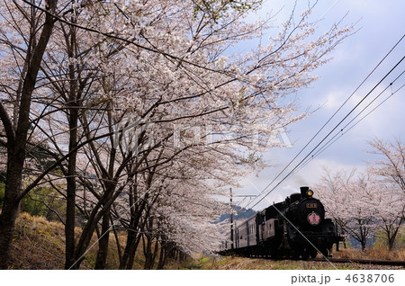 桜と蒸気機関車 4638706